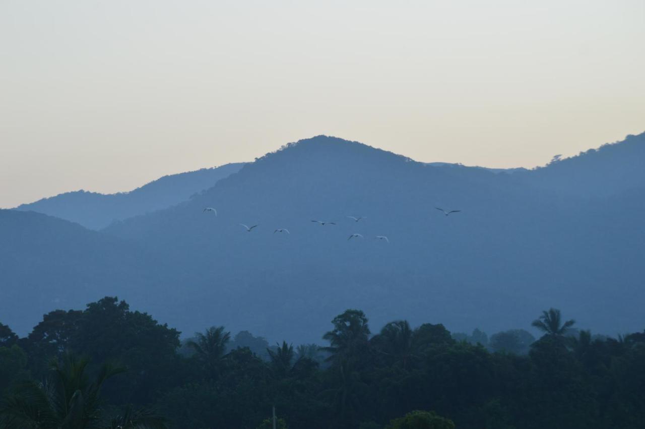 Ridge Boundary View Appartement Dambulla Buitenkant foto