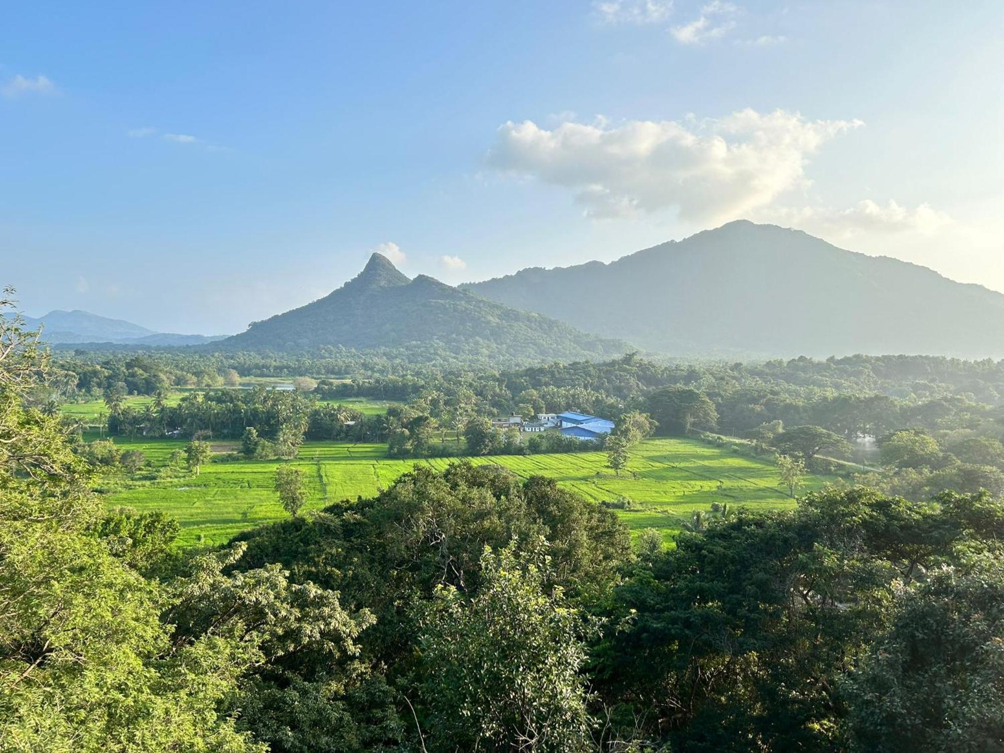 Ridge Boundary View Appartement Dambulla Buitenkant foto