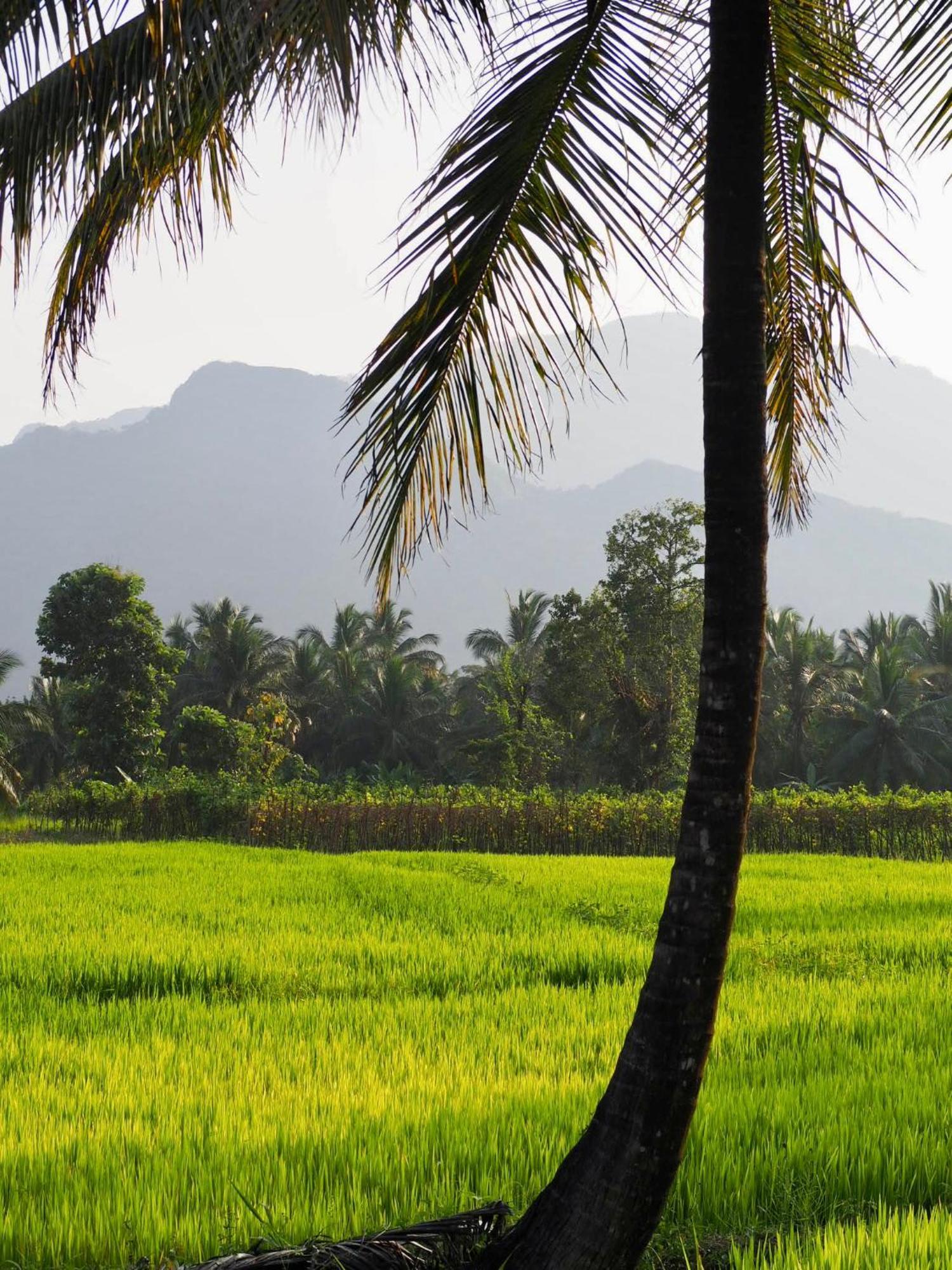 Ridge Boundary View Appartement Dambulla Buitenkant foto
